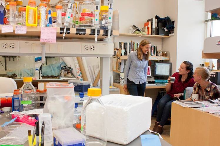 12657400_1092463027459997_7683055867415936770_o