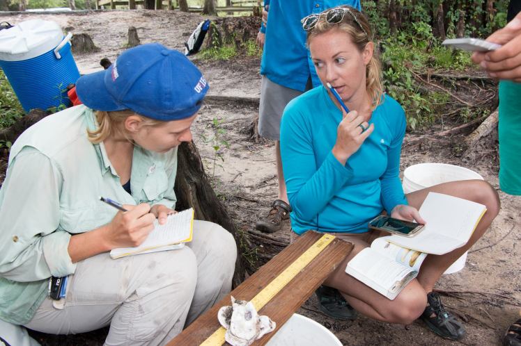 18814785_1503632579694297_2324622883936704932_o