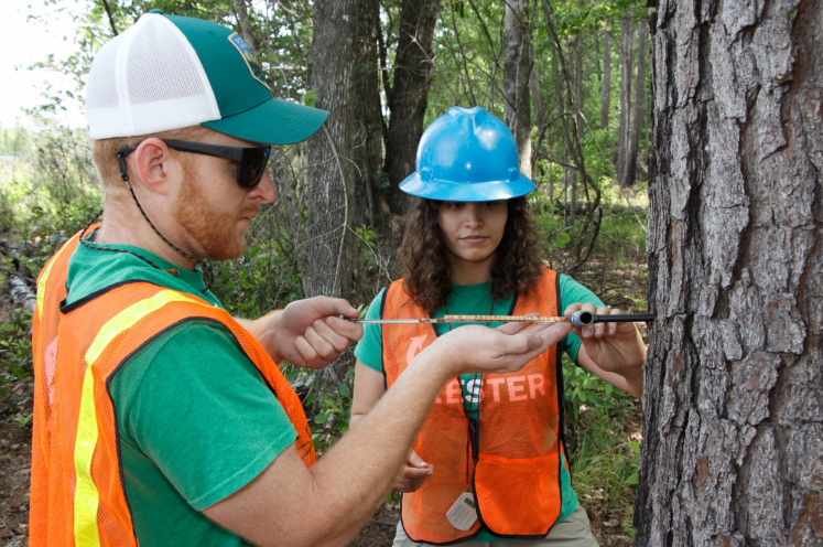 Screen Shot 2018-05-03 at 4.15.42 PM