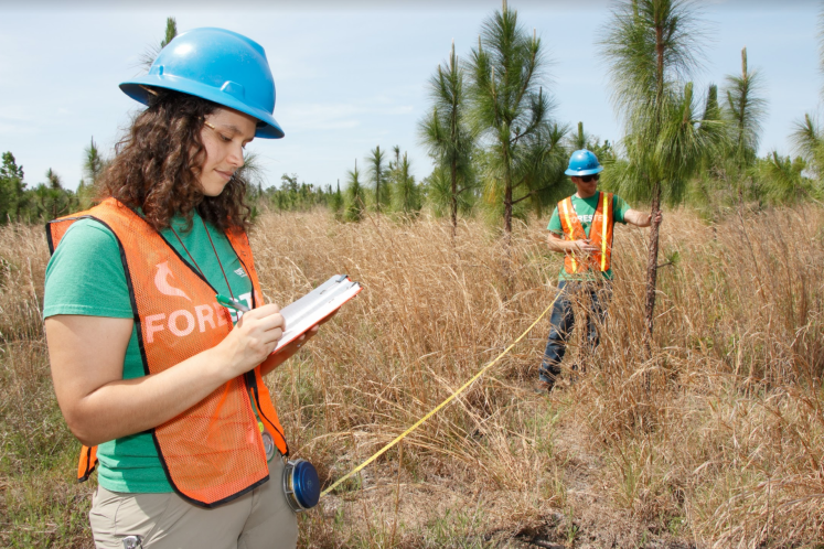 Screen Shot 2018-05-03 at 4.15.55 PM