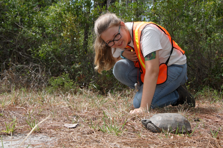 Screen Shot 2018-05-03 at 4.16.05 PM